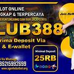 slot club388